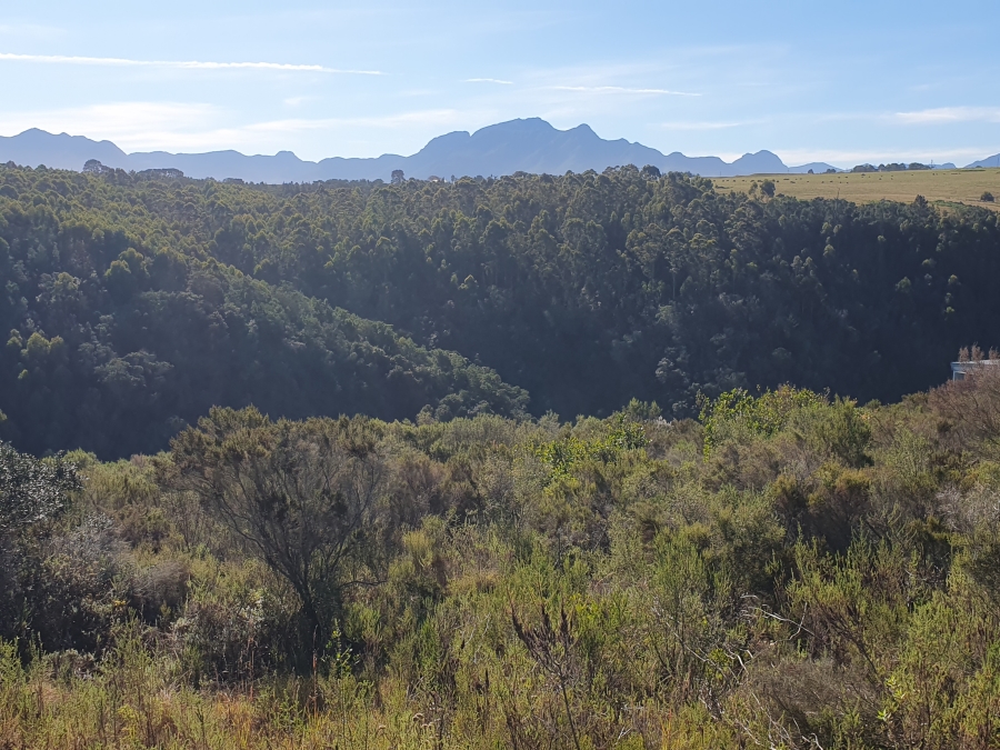0 Bedroom Property for Sale in Oubaai Western Cape